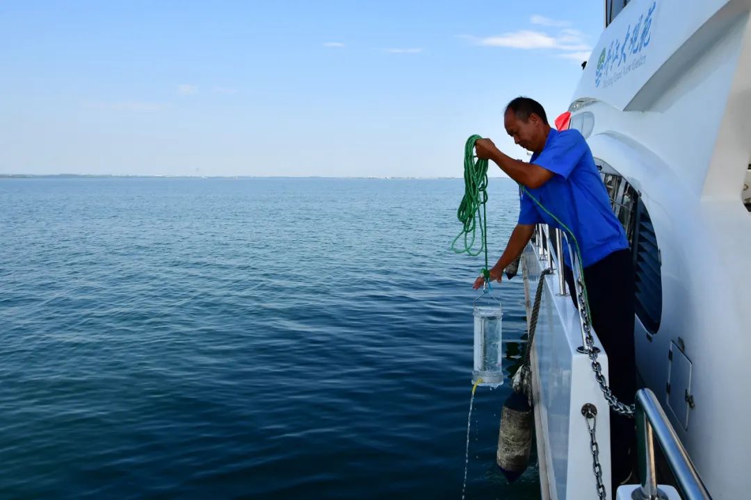津巴布韦灌溉烟草面积显著扩大