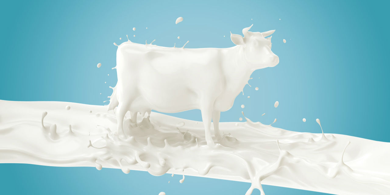 百菲乳业拟撤回上交所申请