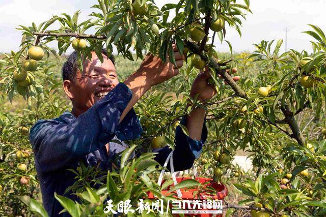 李子园：关于“李子转债”预计触发转股价格修正条件的提示性公告