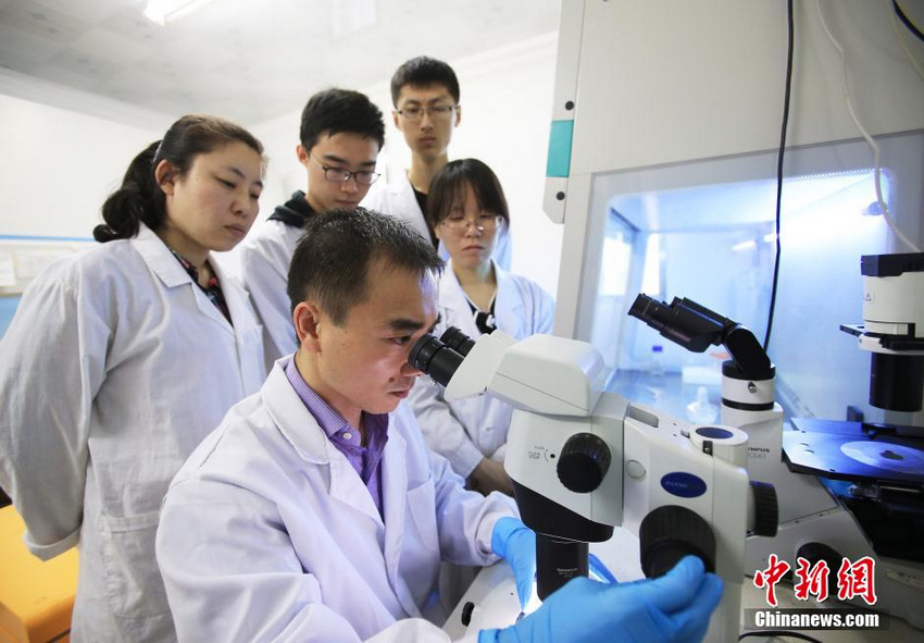 60万丁肝患者有药了，完全由中国科学家研制