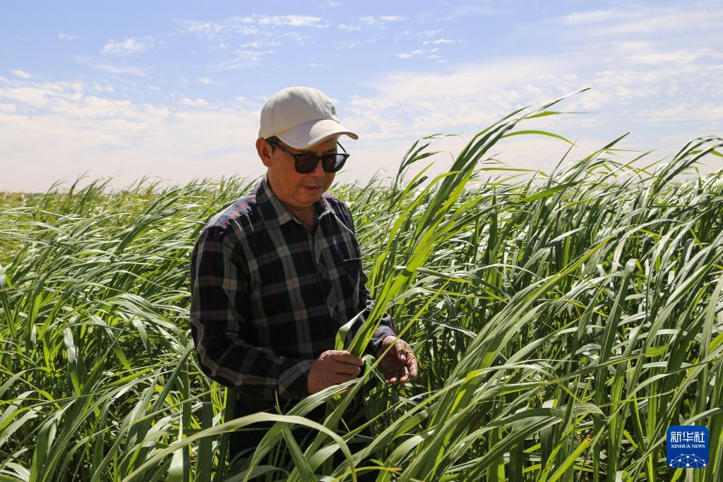 毛里塔尼亚总理访塞内加尔 双方发表联合公报深化双边合作