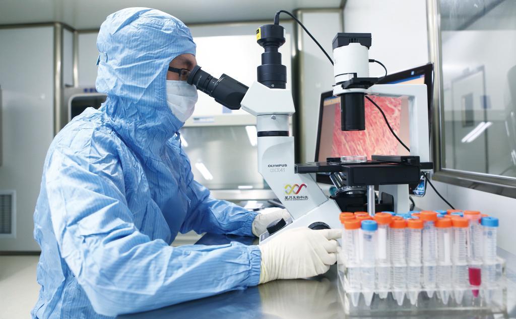 创新药目录现卡点 子弹还得飞一会儿