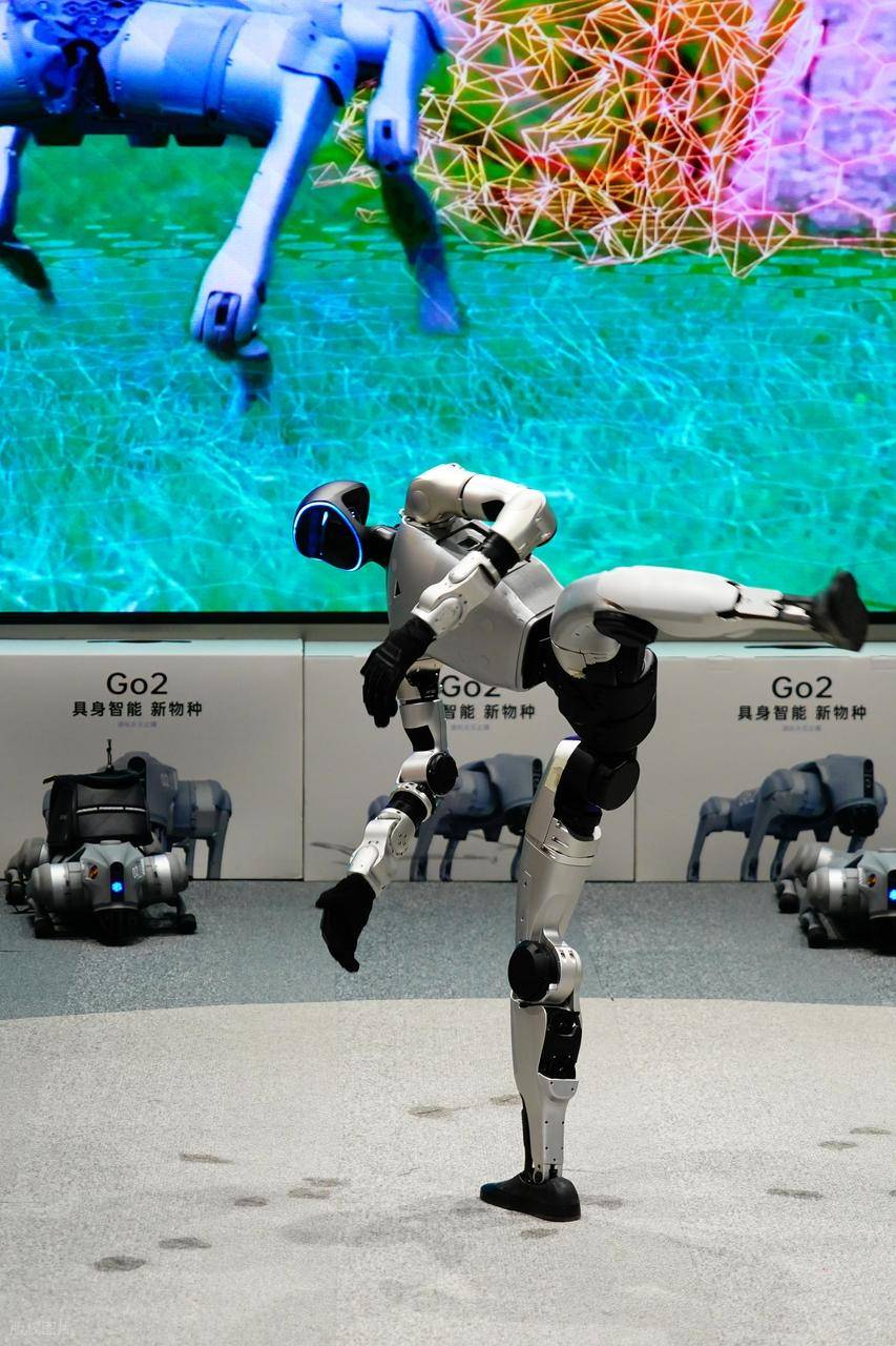 春晚指定具身大模型机器人“曝光”
