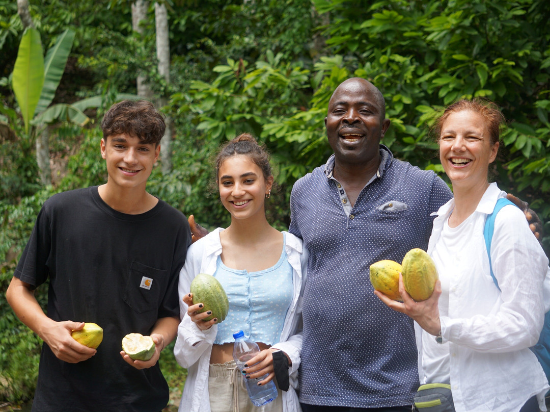 加纳2025年10月经济增长3.8%，服务业占主导地位