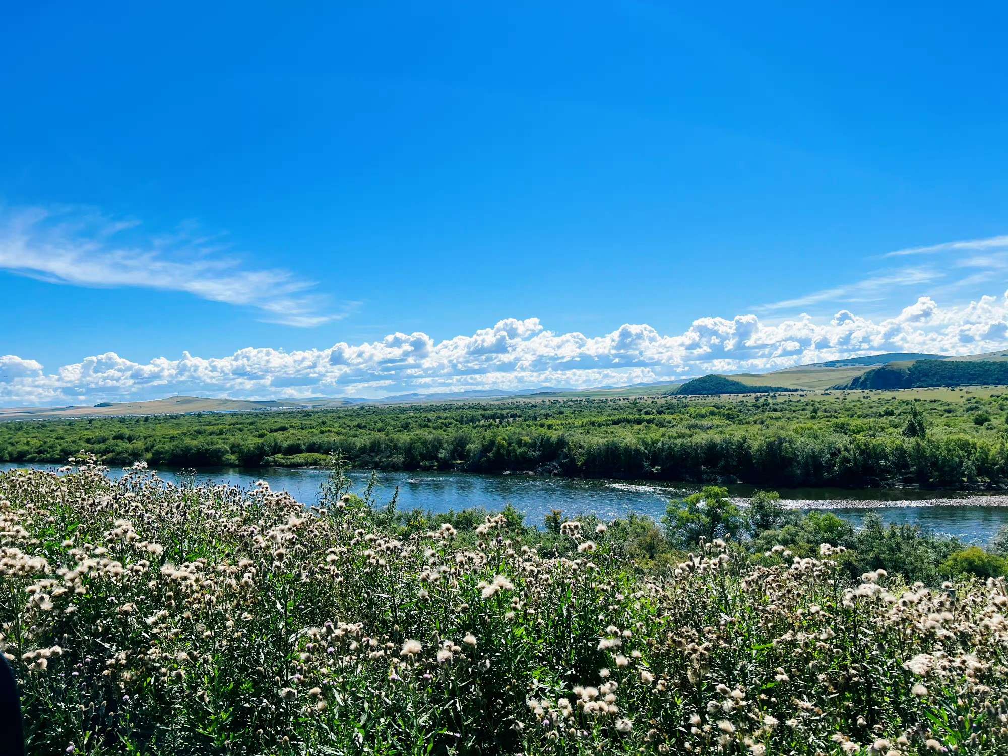 伟伟道来 | 美伊对峙，2026年的第一场战争呼之欲出